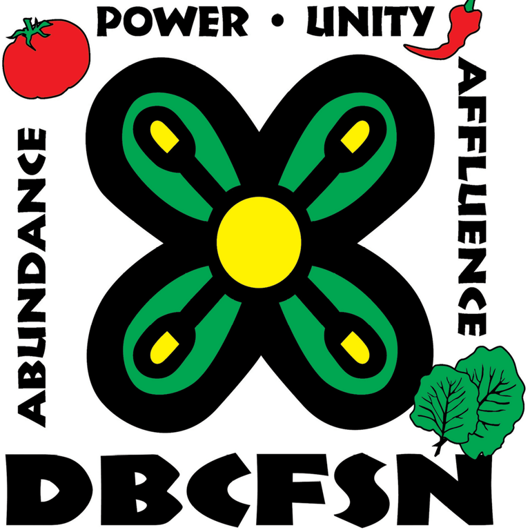 Black Organization in Detroit Michigan - Detroit Black Community Food Security Network