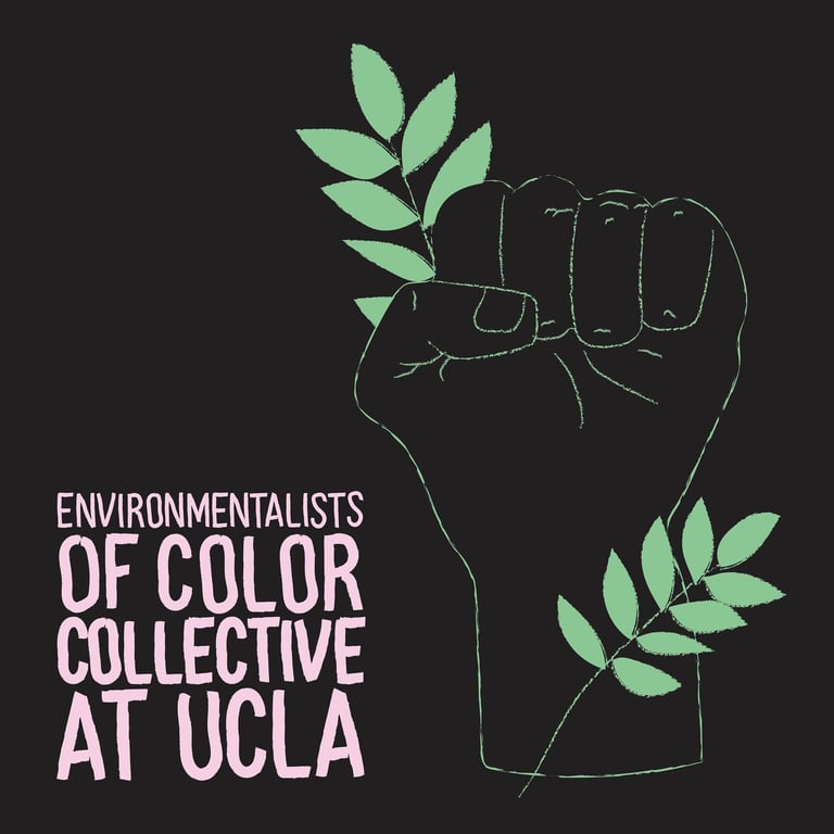 Black Organization in Los Angeles California - Environmentalists of Color Collective