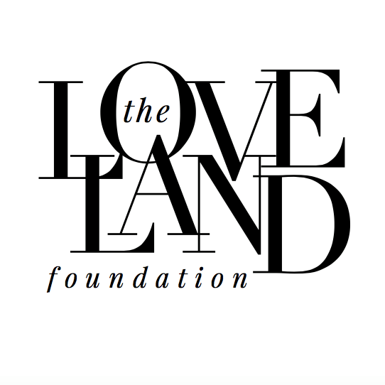 African American Charity Organization in USA - Loveland Foundation