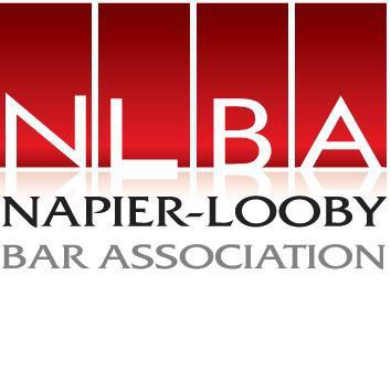 Black Organization in Nashville TN - Napier-Looby Bar Association