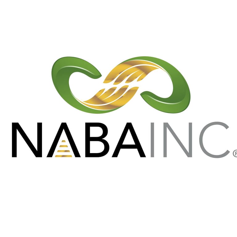 African American Accounting Organizations in USA - National Association of Black Accountants, Inc. Columbia Chapter