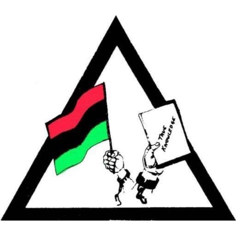 African American Political Organizations in USA - Organization for Black Struggle